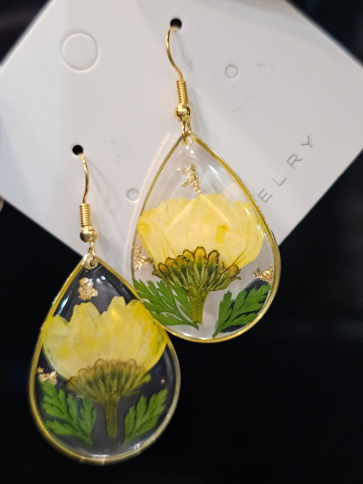 WhatsApp Image 2026-02-23 at 12.57.08 PM